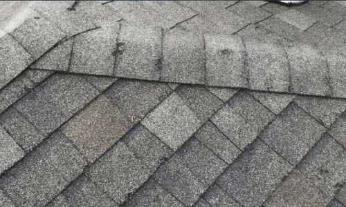 Storm restored shingles